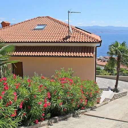 Holiday Salvia Holiday home
