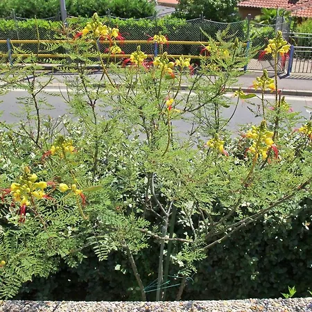 Holiday home Holiday Salvia