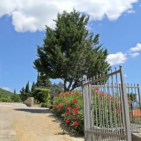 Holiday Salvia Holiday home